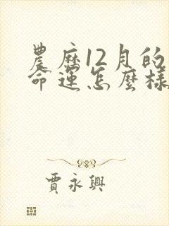 农历12月的马命运怎么样