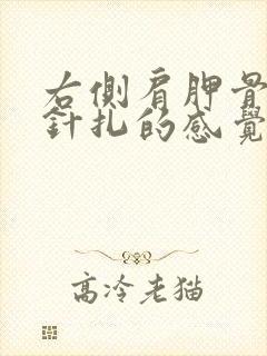 右侧肩胛骨刺痛针扎的感觉