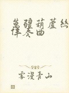 万疆葫芦丝c调伴奏曲