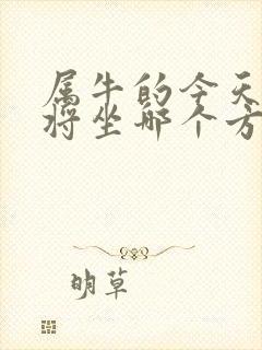 属牛的今天打麻将坐哪个方位好