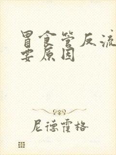 胃食管反流的主要原因