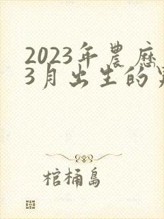 2023年农历3月出生的男孩命运好不好
