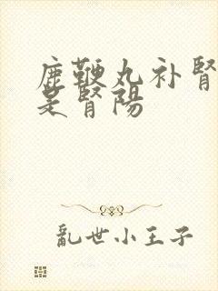 鹿鞭丸补肾阴还是肾阳