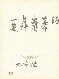 一月出生的女孩是什么命