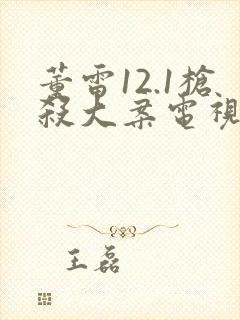 董雷12.1枪杀大案电视剧免费观看封面