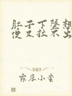 肚子下坠想拉大便又拉不出来是什么原因