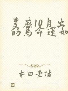 农历10月出生的马命运如何封面