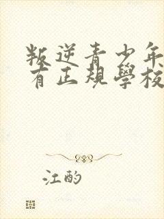 叛逆青少年有没有正规学校