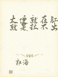 大便就在肛门口就是拉不出来怎么办