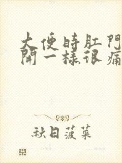 大便时肛门跟裂开一样很痛流血