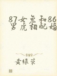 87女兔和86男虎相配婚姻如何