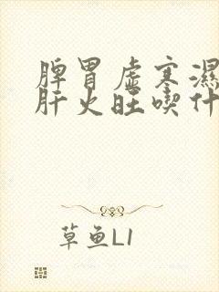 脾胃虚寒湿气重肝火旺吃什么药最好