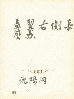 鼻翼右侧长痘怎么办