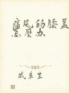 痛风的膝盖肿痛怎么办封面