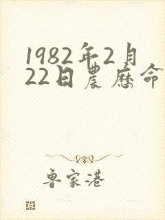 1982年2月22日农历命运封面