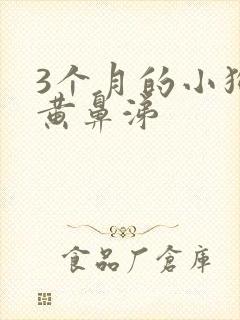 3个月的小狗流黄鼻涕