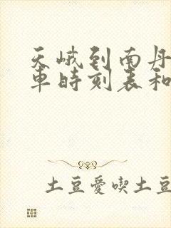 天峨到南丹的汽车时刻表和票价