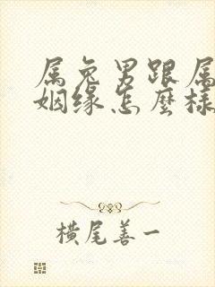 属兔男跟属猴的姻缘怎么样封面