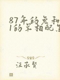 87年的兔和91的羊相配怎么样