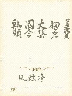 韩国大胸美女视频合集免费观看