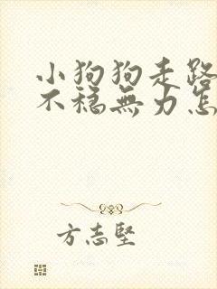 小狗狗走路打晃不稳无力怎么回事