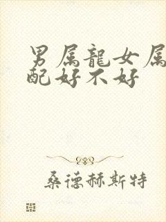男属龙女属鸡婚配好不好