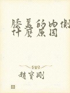 膝盖的内侧疼是什么原因