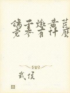 鸽子炖黄芪麦冬党参有什么功效