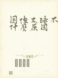 困但又睡不着是什么原因封面