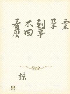 看不到孕囊是怎么回事