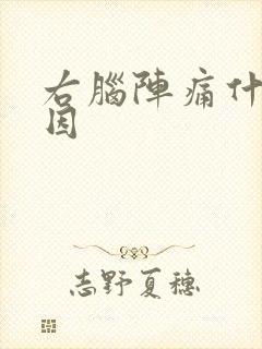 右脑阵痛什么原因