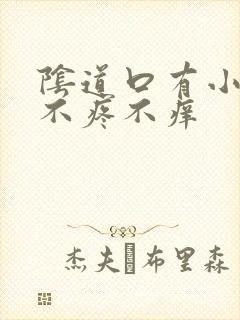 阴道口有小肉粒不疼不痒封面