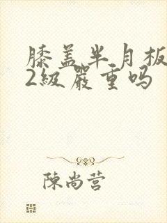 膝盖半月板受损2级严重吗