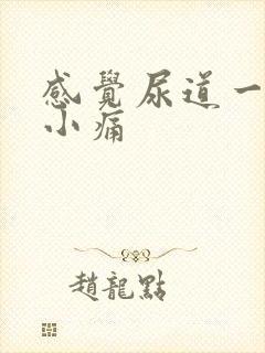 感觉尿道一阵阵小痛