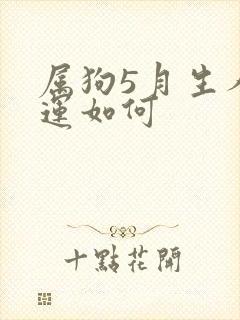 属狗5月生人命运如何封面