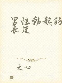 男性勃起的平均长度封面