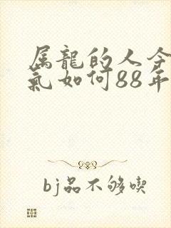 属龙的人今年运气如何88年的龙封面