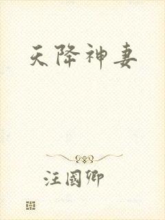 天降神妻