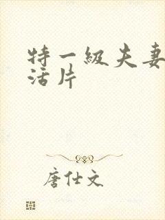 特一级夫妻性生活片封面