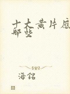 十大黄片应用有哪些封面