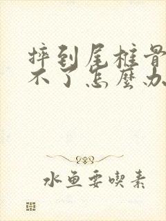 摔到尾椎骨疼动不了怎么办