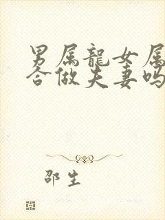 男属龙女属狗适合做夫妻吗