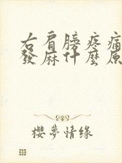 右肩膀疼痛手臂发麻什么原因