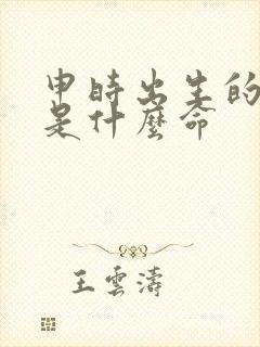 申时出生的男孩是什么命