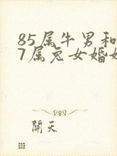85属牛男和87属兔女婚姻怎样