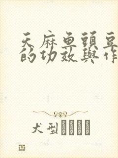 天麻鱼头豆腐汤的功效与作用