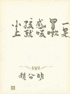 小孩感冒一到晚上就咳嗽是什么原因