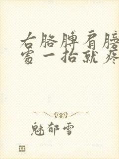 右胳膊肩膀关节处一抬就疼