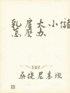 乳房太小储奶少怎么办