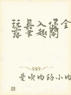 玩具入侵金银花露笔趣阁